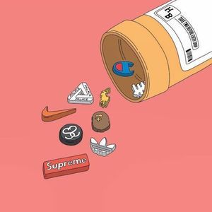 Meet your Posher, Gavin